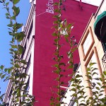 IMG_20110920_152230