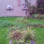 wpid-IMG_20110922_164030