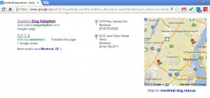 SDA-SPCA-Google_Maps