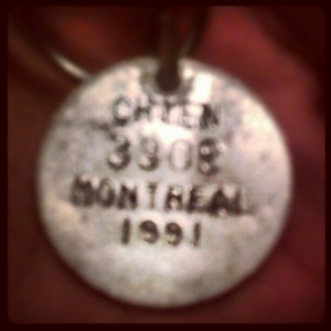 A 1991 #Montreal dog tag.