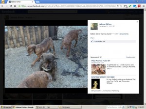 Here we can see Helene RIcher "selling" the puppies.