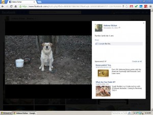But in reality it's one of Helene Richer's dog