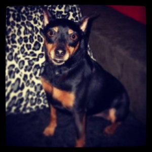 PRINCE THE SECOND
