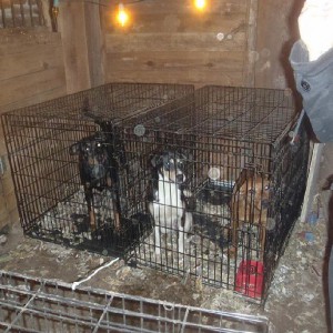 Sylvie Janvresse & Laurence Perron – A hoarding saga