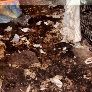 Sylvie Janvresse & Laurence Perron – A hoarding saga