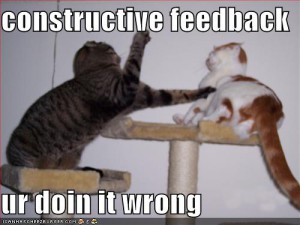funny-pictures-fighting-cats-constructive-feedback