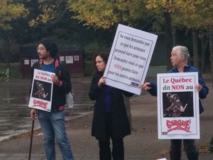 Shriners Circus Protest