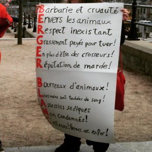Fermer le berger blanc #manifencours