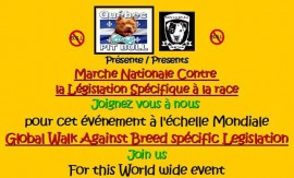 BSL March