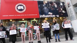 PETA’s Canada Goose Protest in Montreal