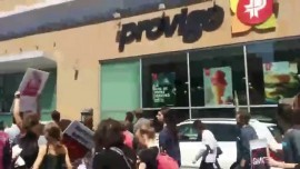 Hey Provigo, Boycott Monsanto! Hey Provigo, Label the GMOs!