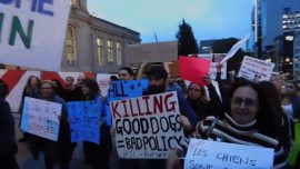 99% Media – Boycott Coderre
