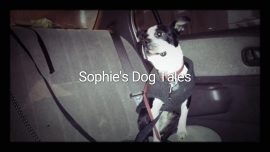 Sophie’s Dog Tales – Trailer