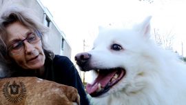 Squash and Suka – Sophie’s Dog Tales
